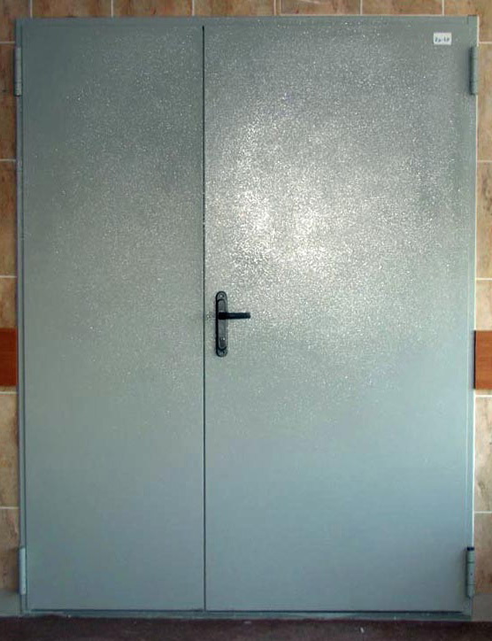 Технические железные двери. Двупольные металлические двери 2100*1700. Дверь металлическая двухстворчатая техническая. Дверь металлическая сварная. Дверь двухстворчатая металлическая 2.0х1.3.